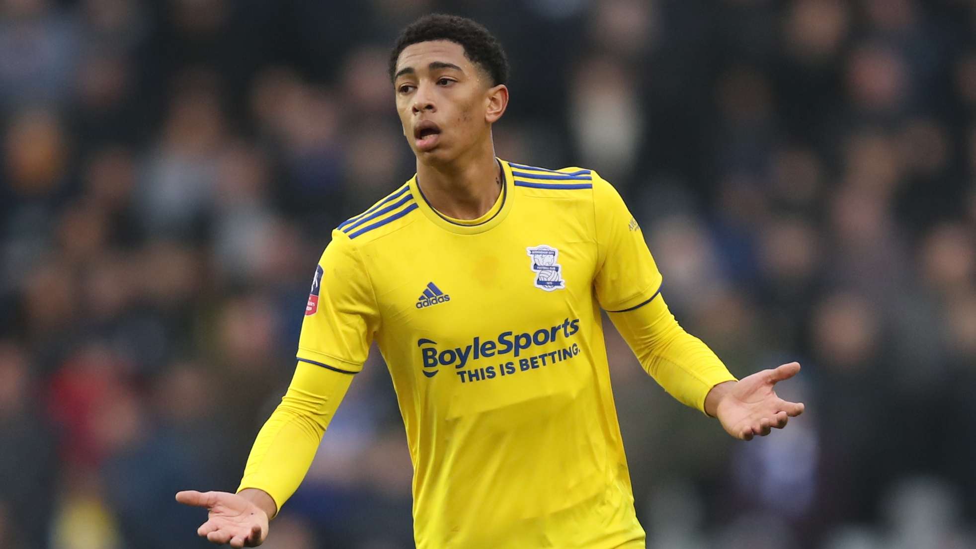 因此每一支 因此每一支