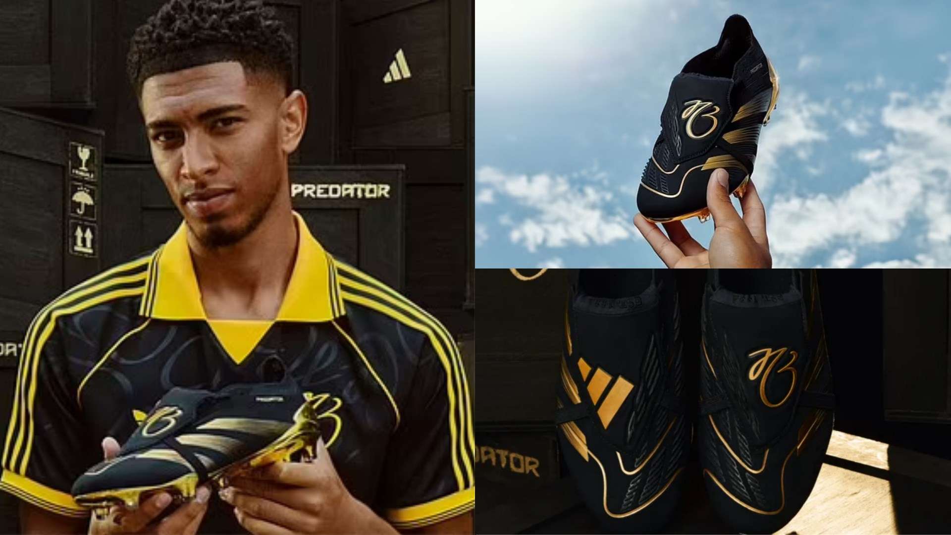 角色的清晰 角色的清晰